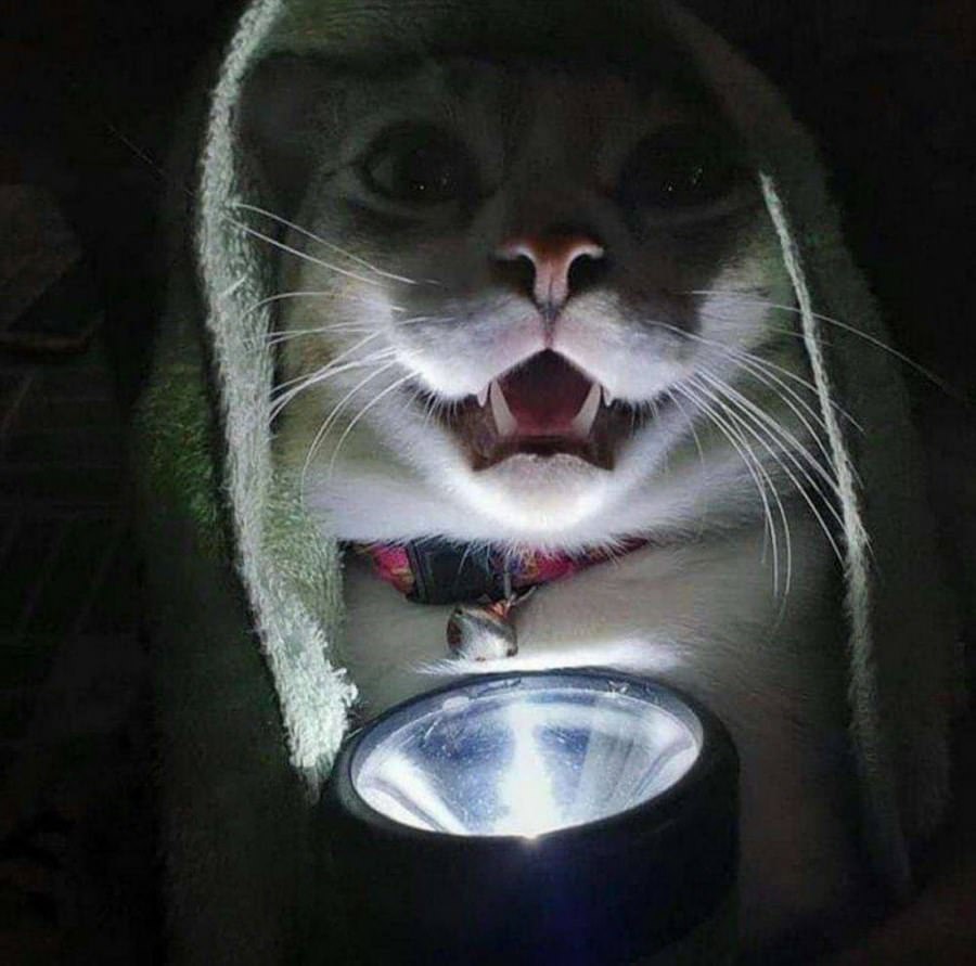 A Scary Story