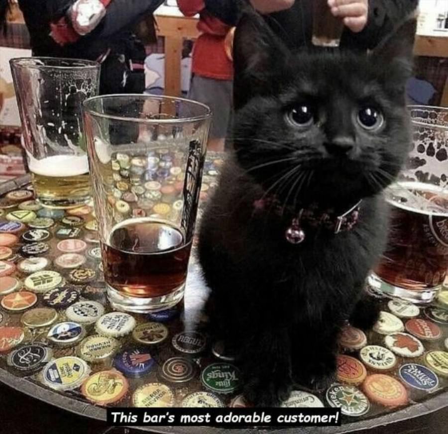 Adorable Customer