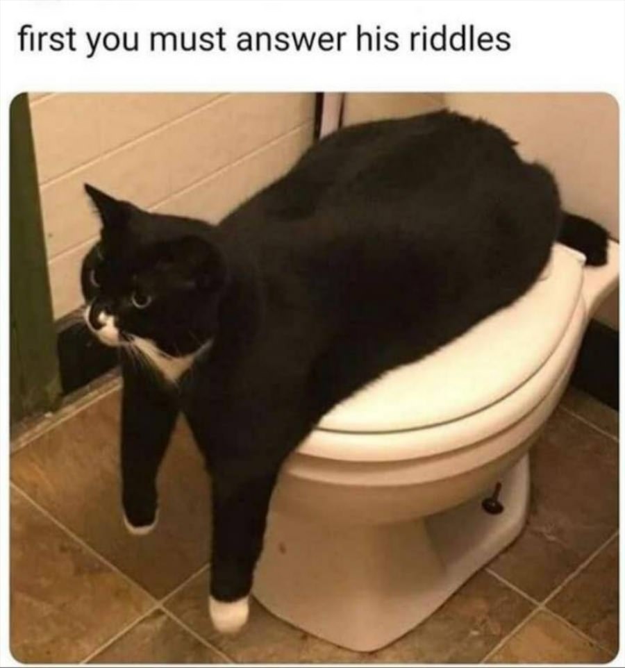 Answer These Riddles