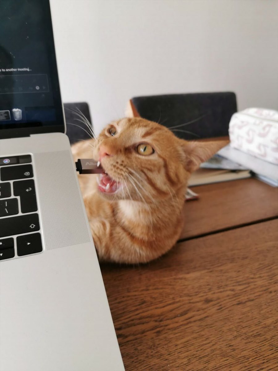 Argghhh Nom Nom