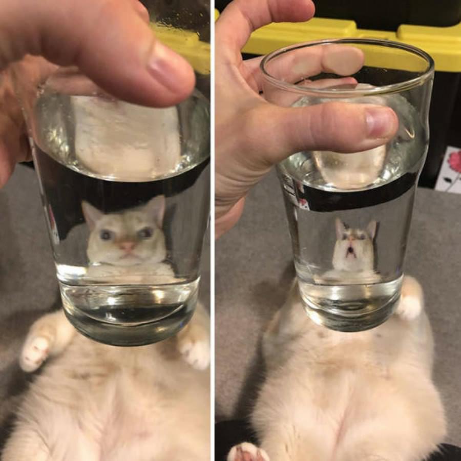 Argghhhhhhhh