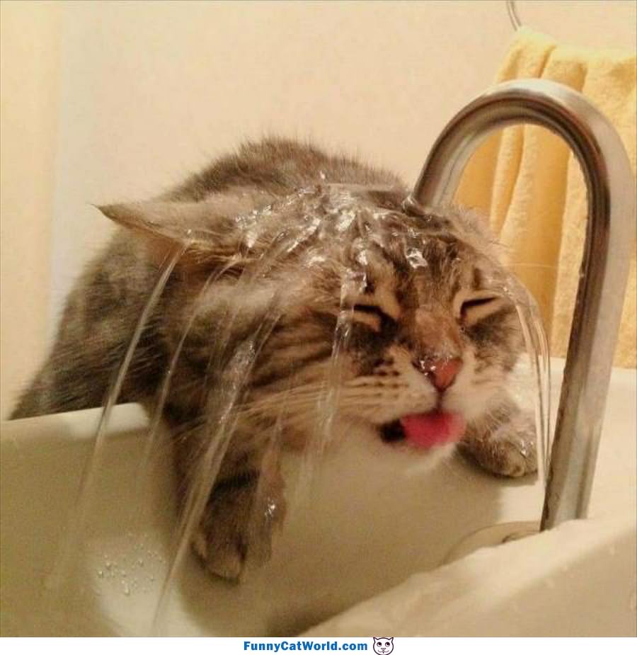 Getting A Good Bath