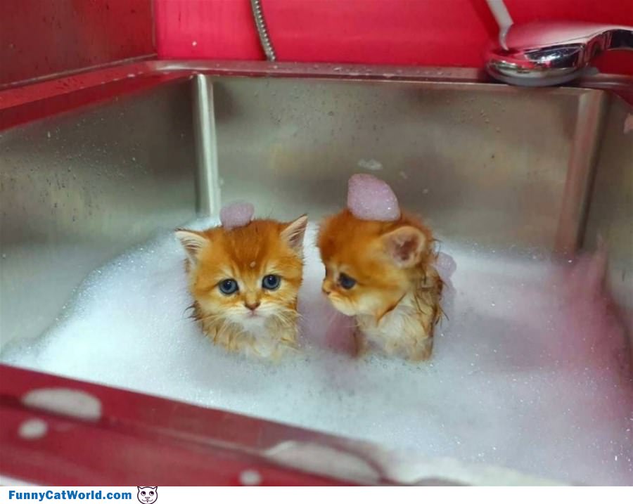 A Cute Little Bath