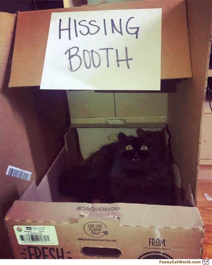A Hissing Booth