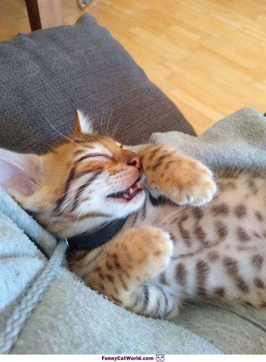 Asleep On My Back