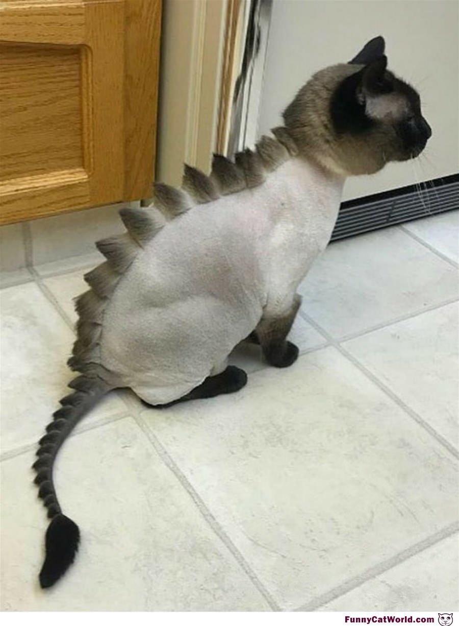 Awesome Mohawk