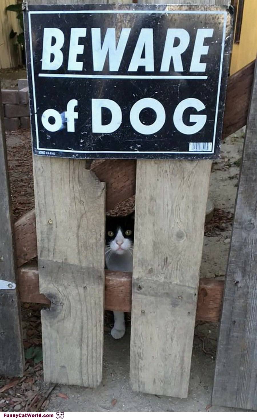 Beware Of The Dog