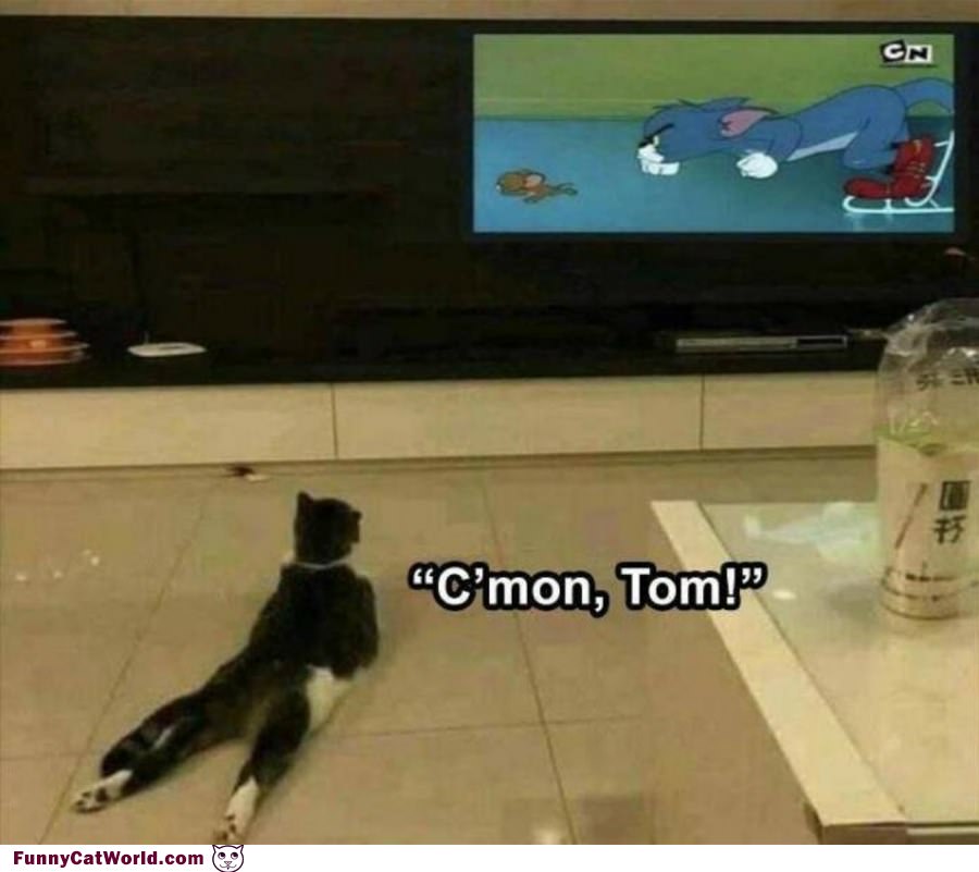 Cmon Tom
