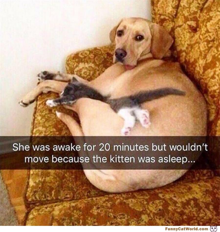 Do Not Move