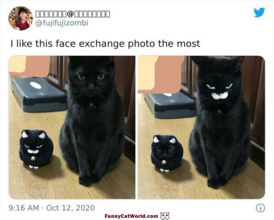 Face Swap