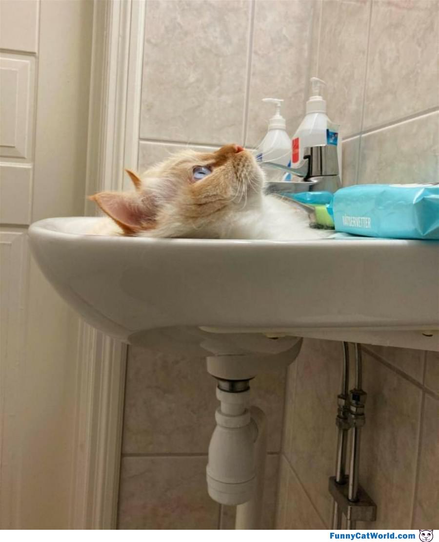 Get Me Out Of The Sink