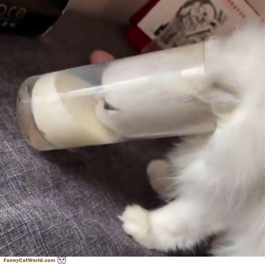 Having Some Milk