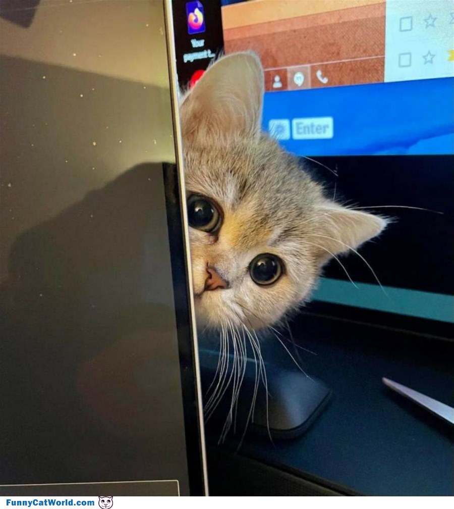Hey Can We Play