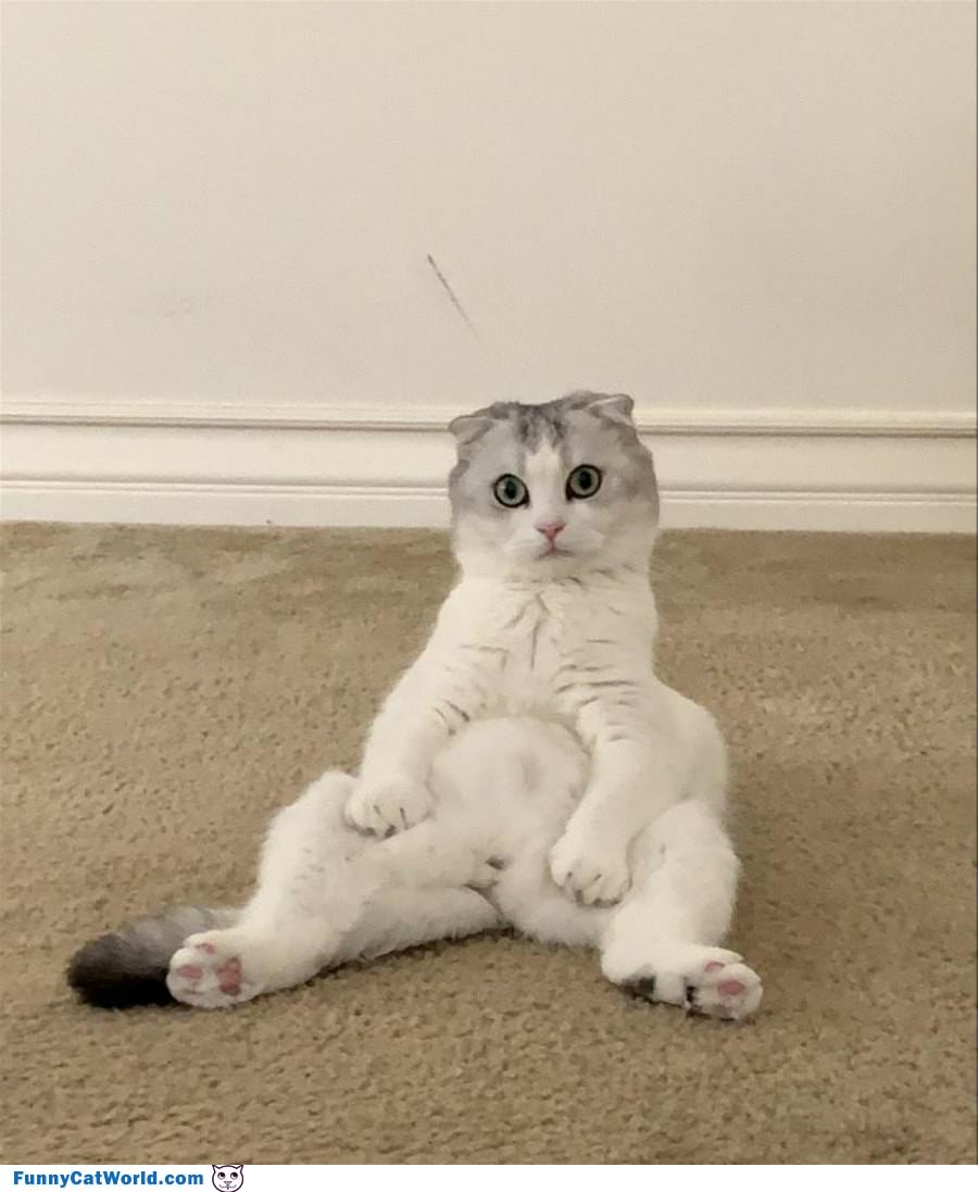 Hey Whats Up