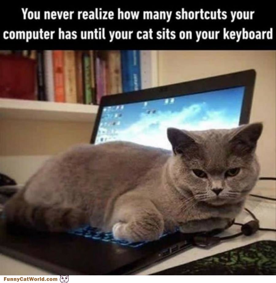 How Many Shortcuts