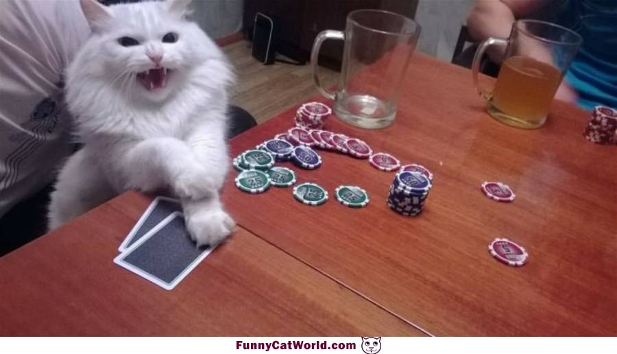 I Love Poker