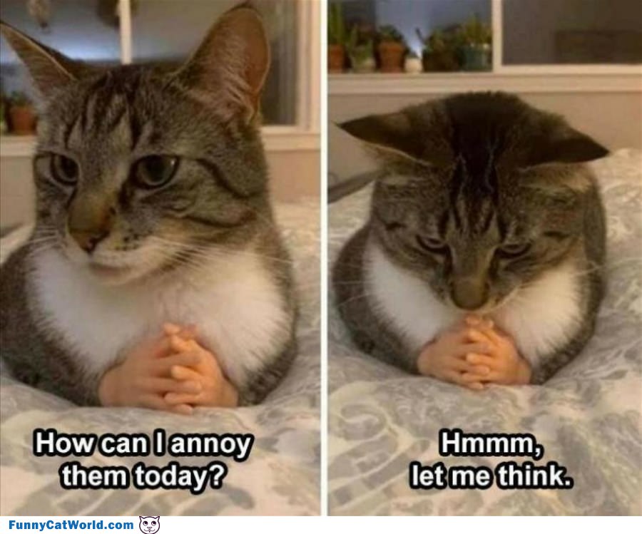 Let Me Think