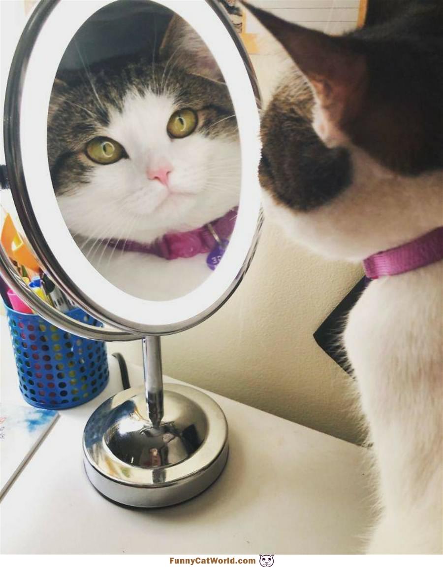 Look At Me