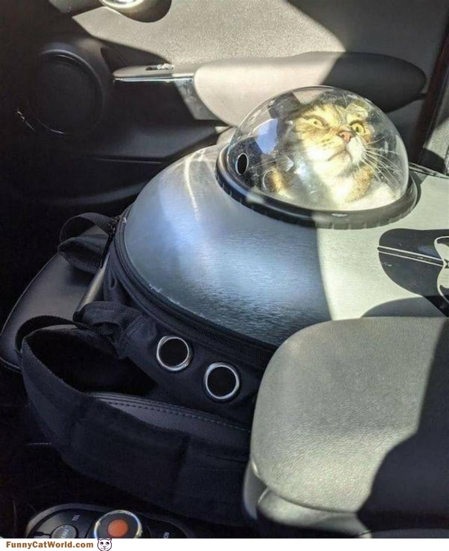 Looking Into Space