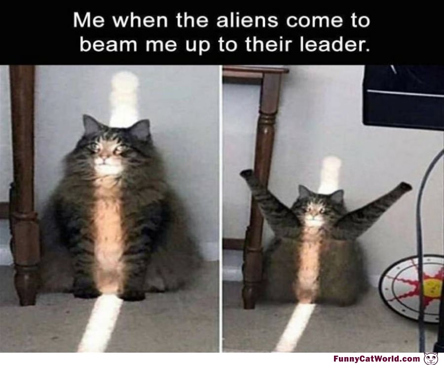 Me When The Aliens Come