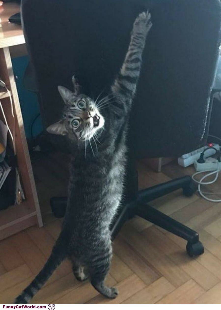 My Chair Now