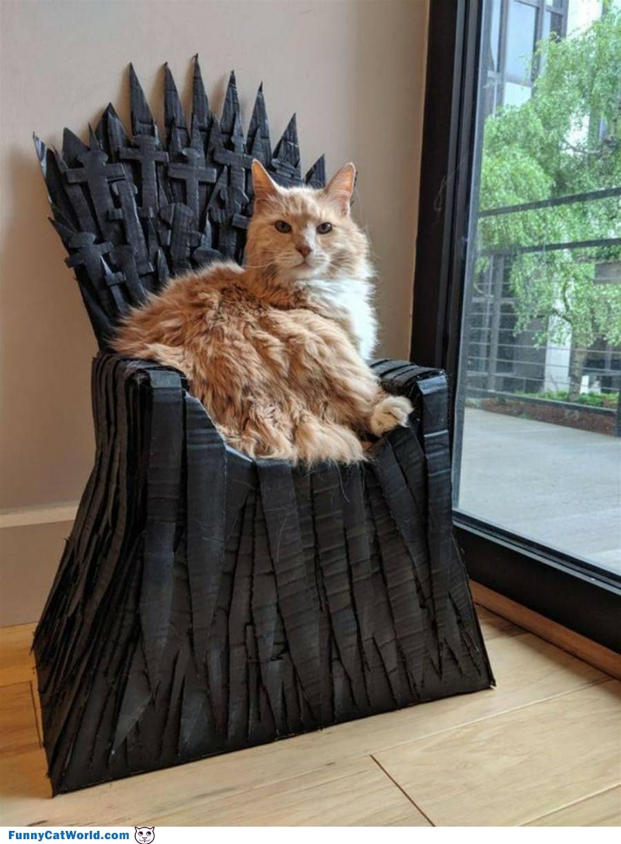 My Throne
