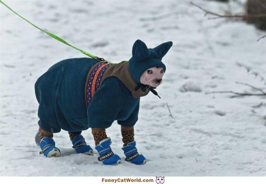 Out Ready For The Cold