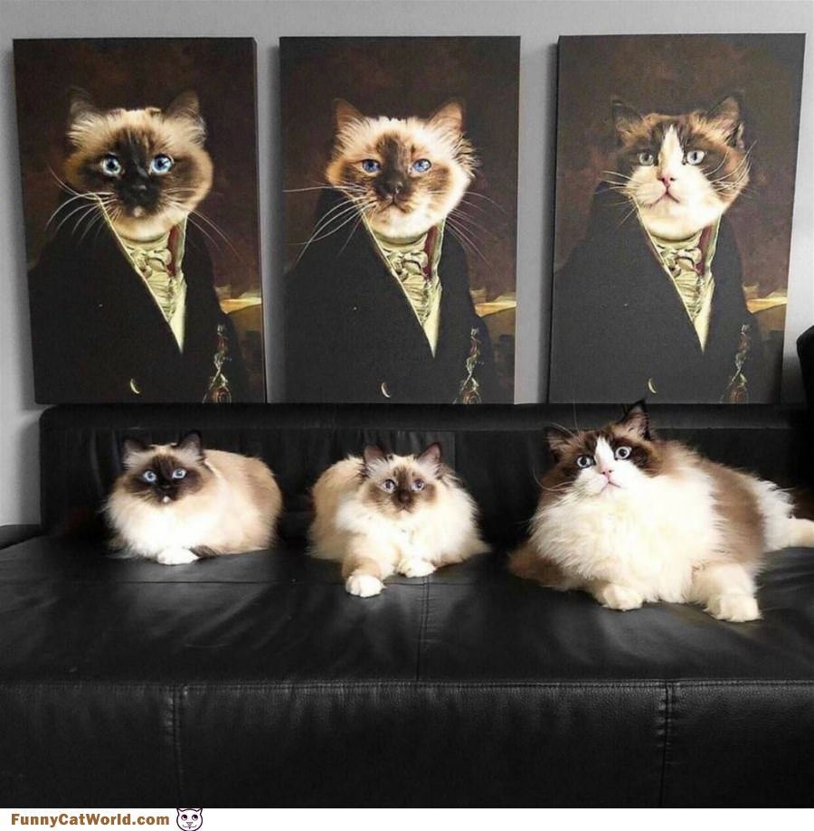 Portraits