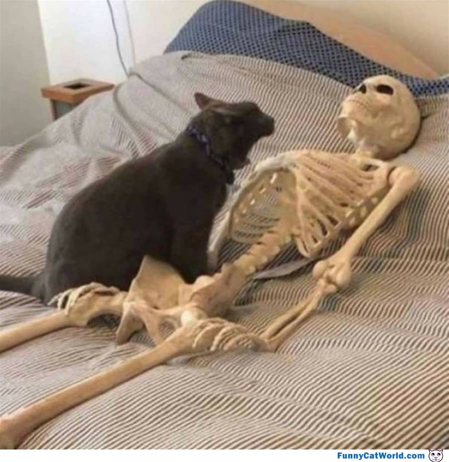 Rawwwwwwwwwwwwwww