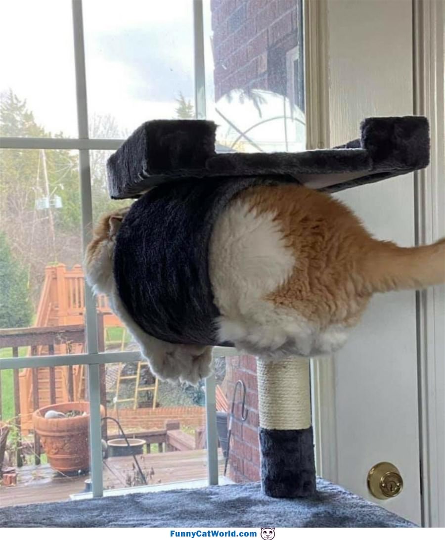 Ready For Takeoff