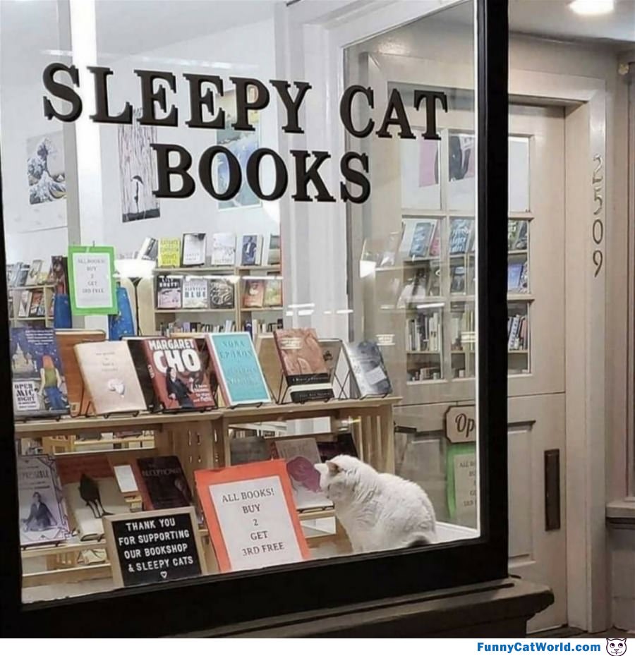 Sleepy Cat Books