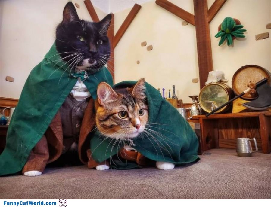 Super Cats