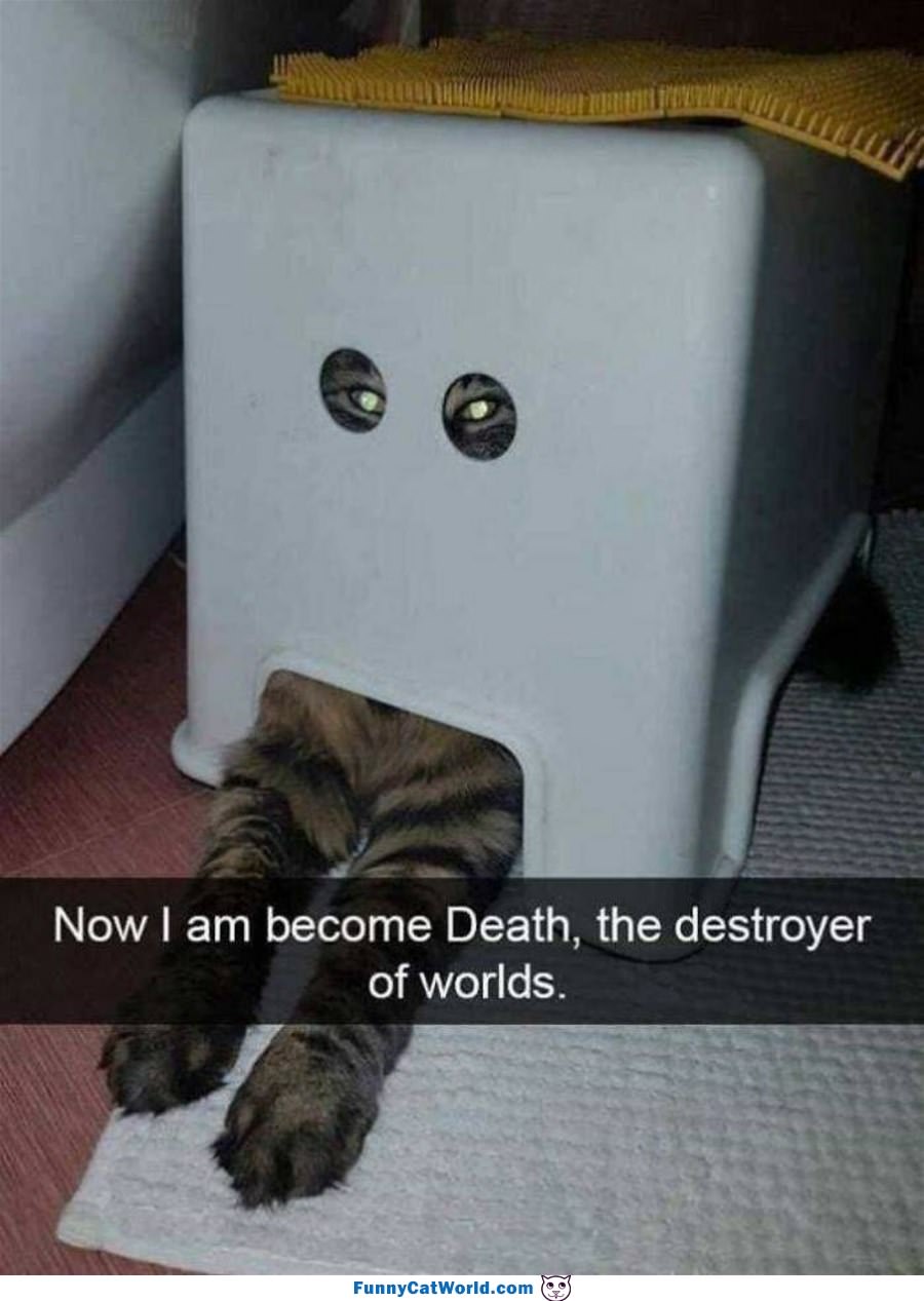 The Destroyer