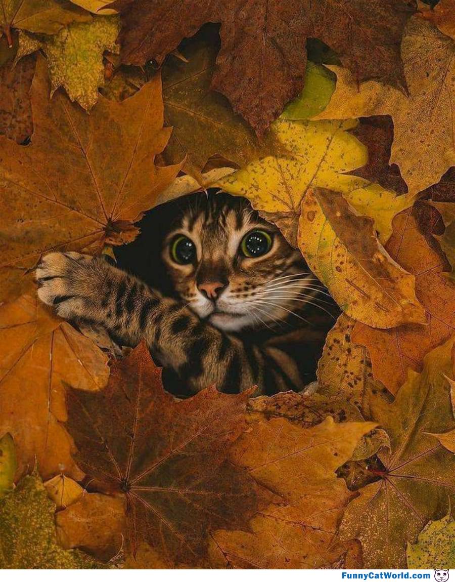 Watching You People