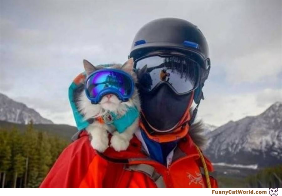 We Love Skiing