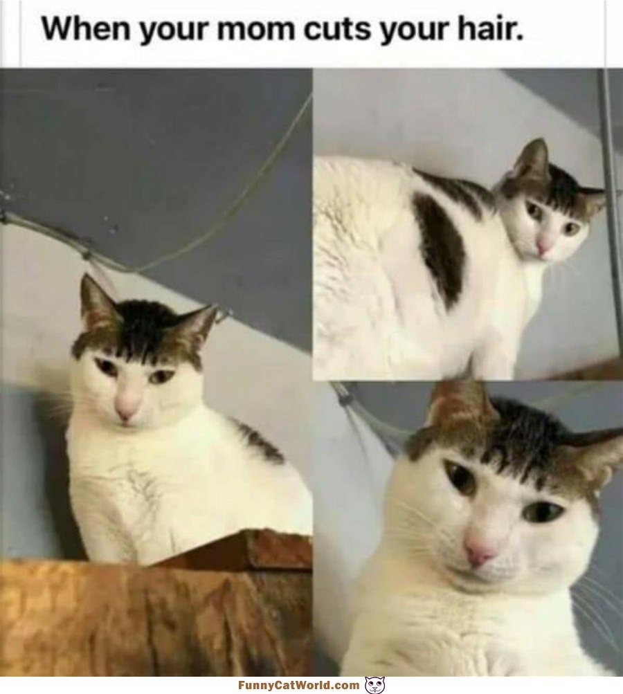 When Mom Cuts Your Hair