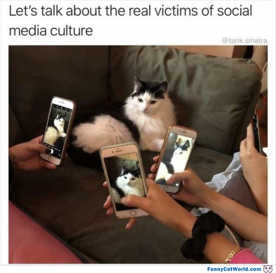 Social Media