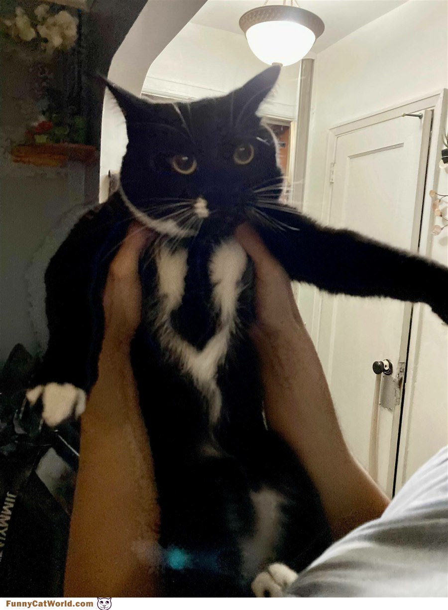 Hey Put Me Down