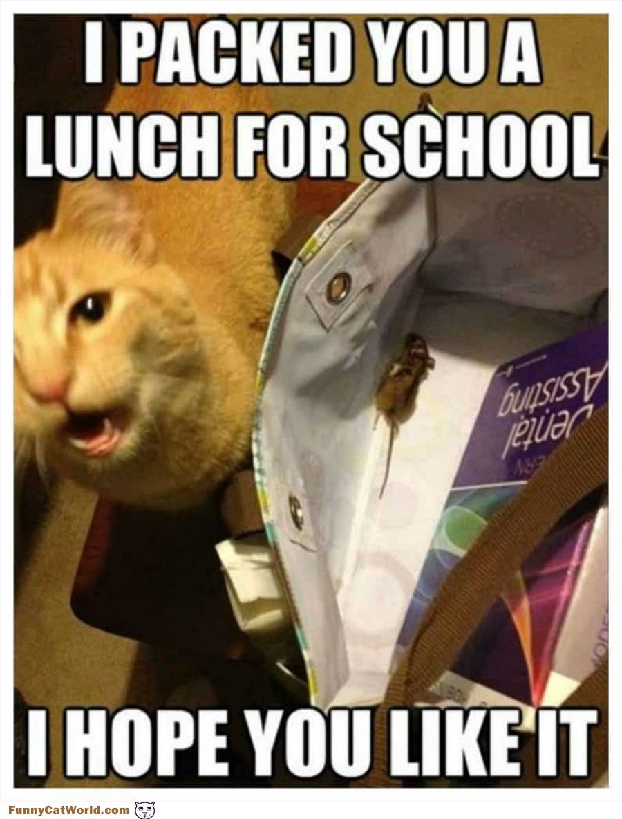 Packed You A Lunch