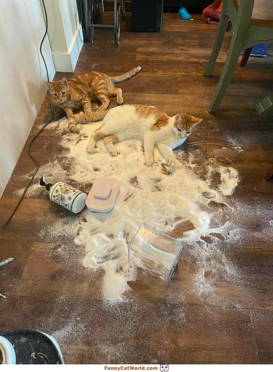 We Made A Little Mess