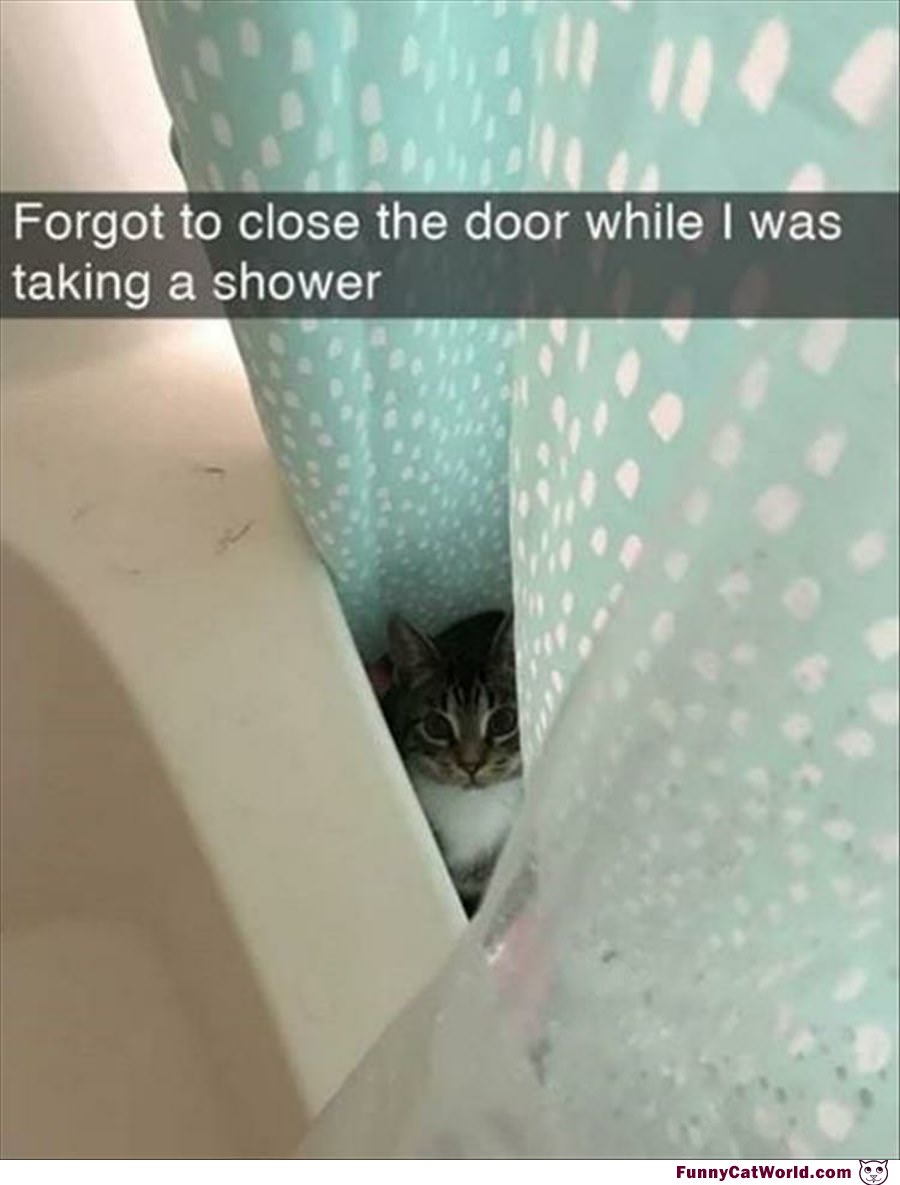 Forgot To Close The Door