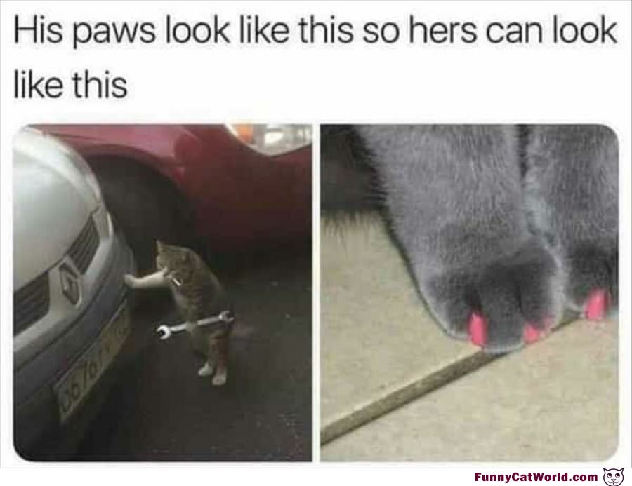 His Paws Look Like This