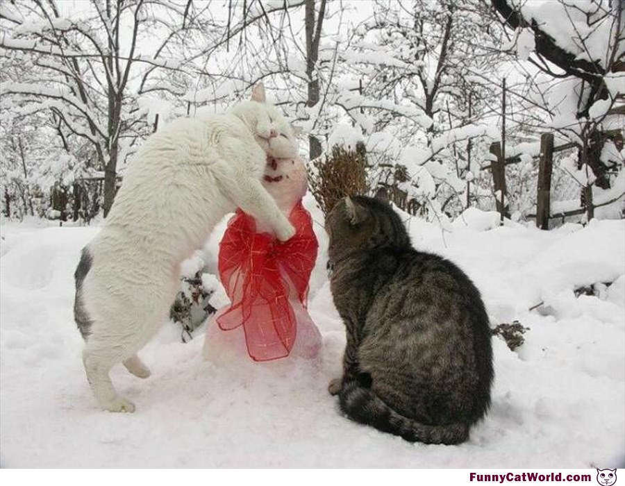 Hug Me Snowman