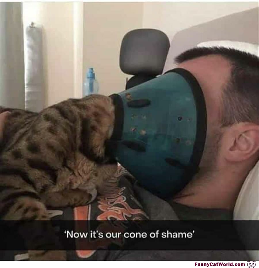 Our Cone Of Shame