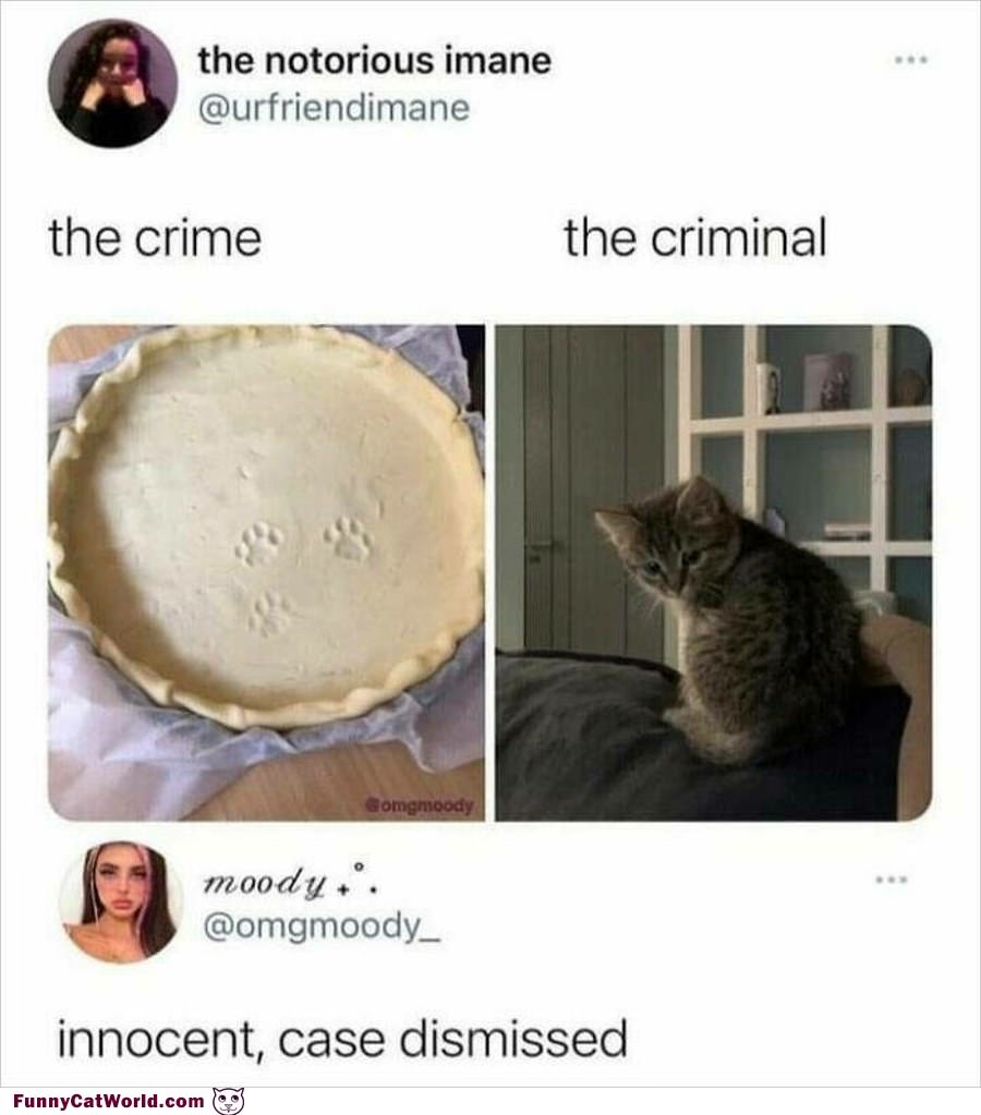 The Crime