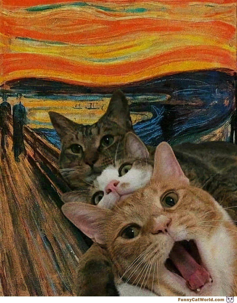 The Scream Cats