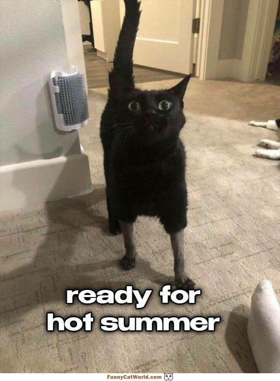 Ready For A Hot Summer